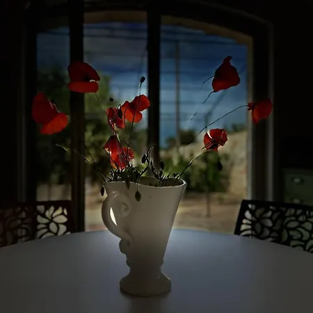 Locoholiday - Don Vito Apartament